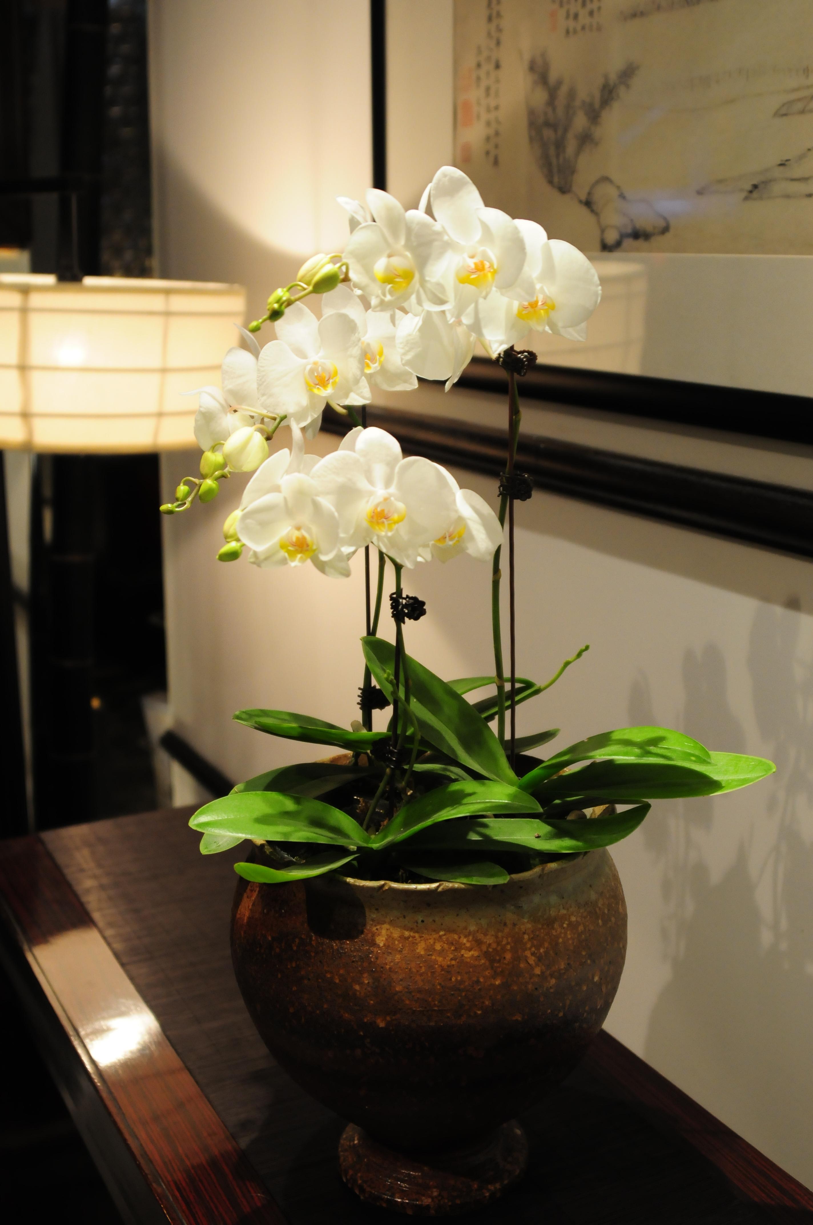 Redstar Culture Hotel Hangzhou Zewnętrze zdjęcie